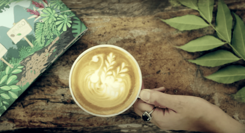 Puro: Coffee and Conservation